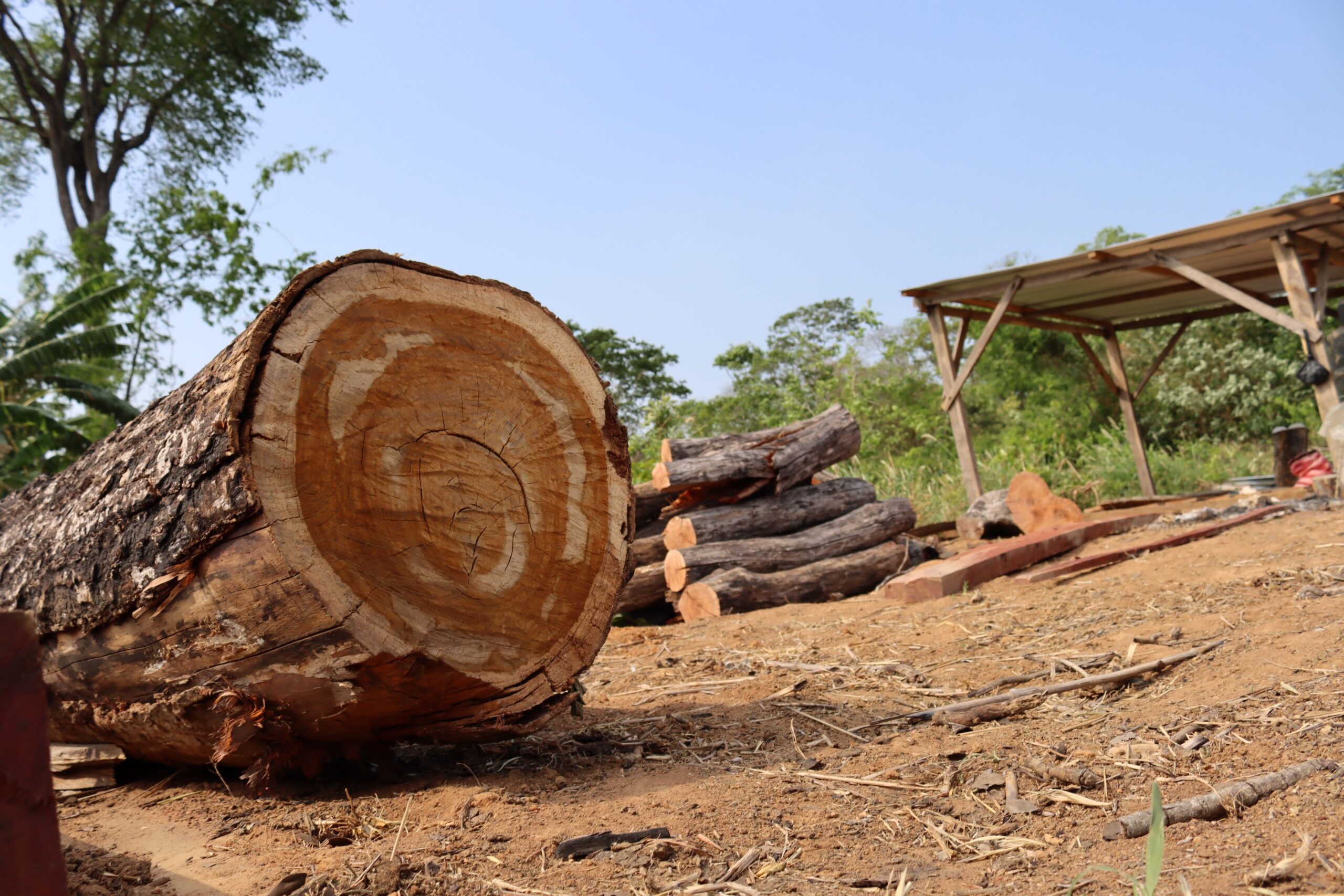 Problemas ambientales en Bolivia